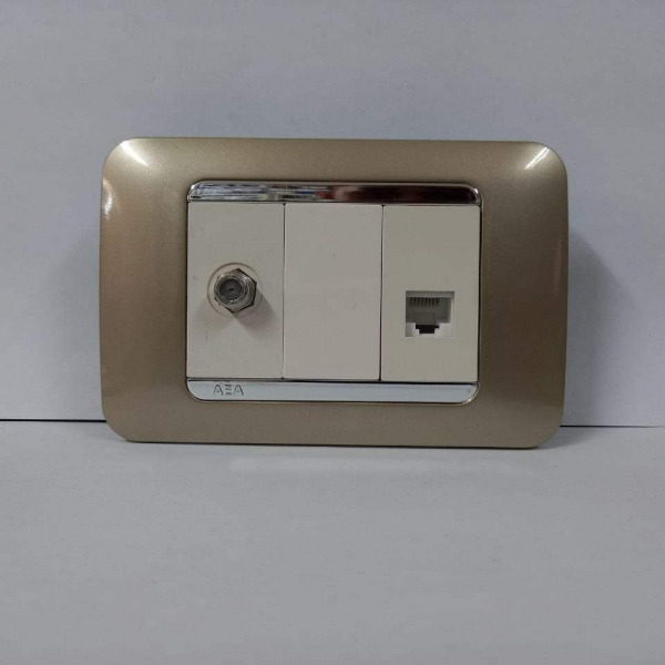 RJ45 + TV BEIGE DUET PLACA ORO RIBETE PLATA.